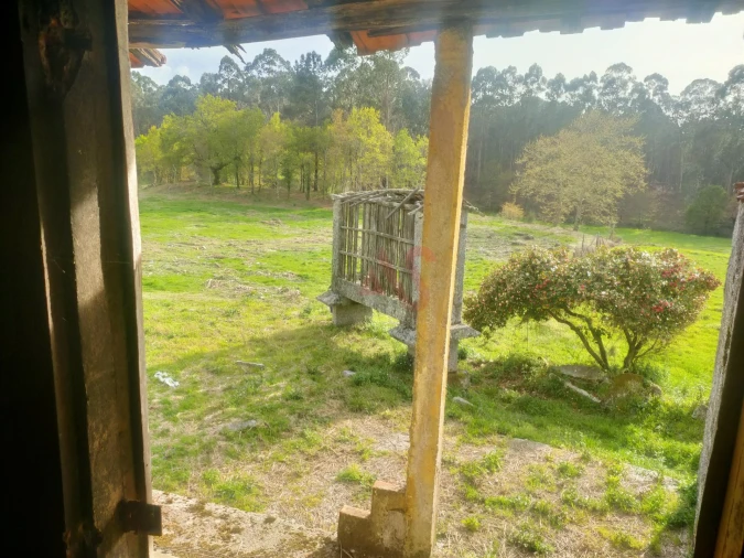 Quinta T4 para Venda em Ardegão, Arnozela e Seidões Foto 15