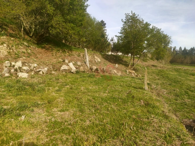 Quinta T4 para Venda em Ardegão, Arnozela e Seidões Foto 7