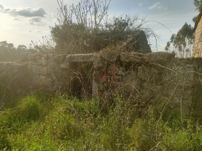 Quinta T4 para Venda em Ardegão, Arnozela e Seidões Foto 4
