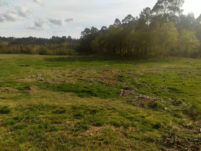 Quinta T4 para Venda em Ardegão, Arnozela e Seidões Foto 11