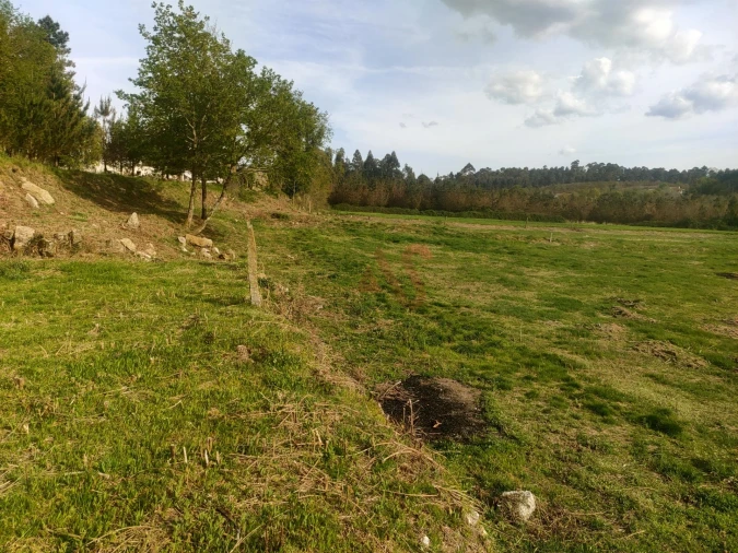 Quinta T4 para Venda em Ardegão, Arnozela e Seidões Foto 8