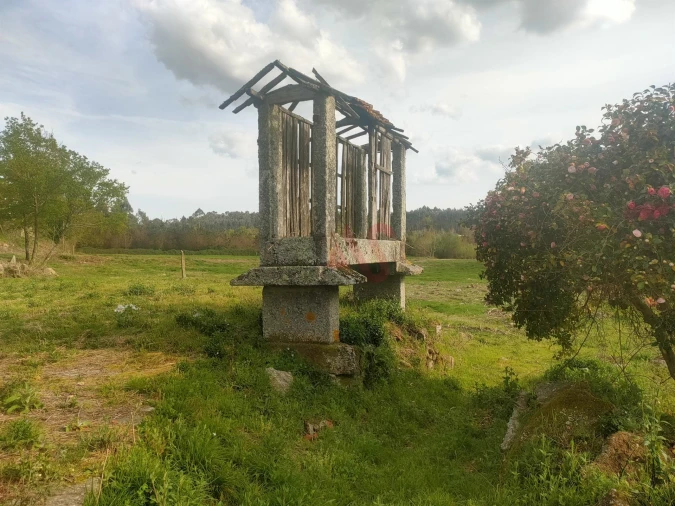 Quinta T4 para Venda em Ardegão, Arnozela e Seidões Foto 5