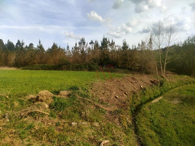 Quinta T4 para Venda em Ardegão, Arnozela e Seidões Foto 22
