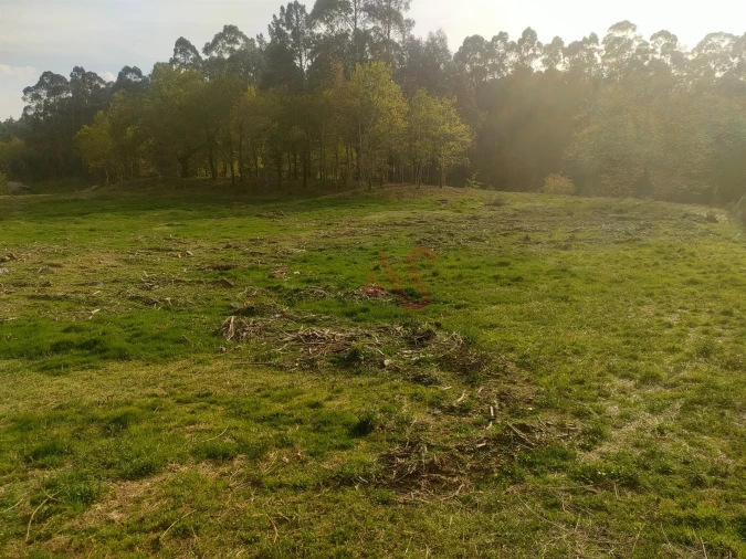 Quinta T4 para Venda em Ardegão, Arnozela e Seidões Foto 12