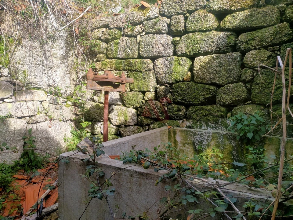 Quinta T4 para Venda em Ardegão, Arnozela e Seidões Foto 14