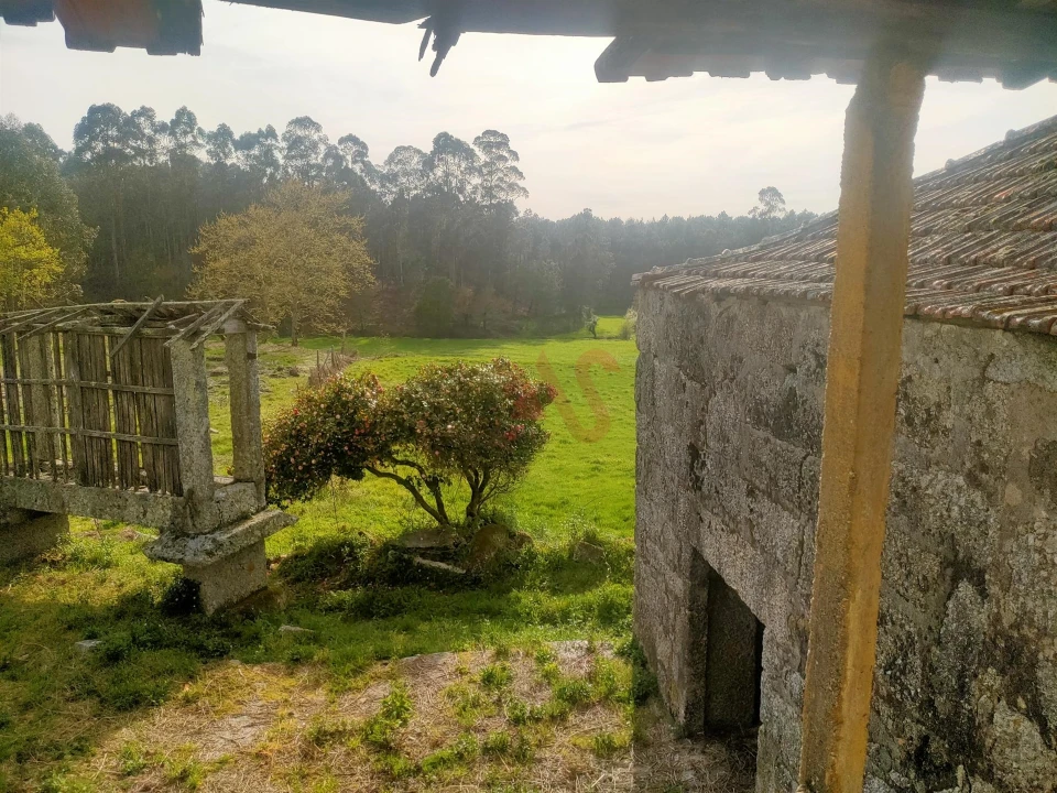 Quinta T4 para Venda em Ardegão, Arnozela e Seidões Foto 16