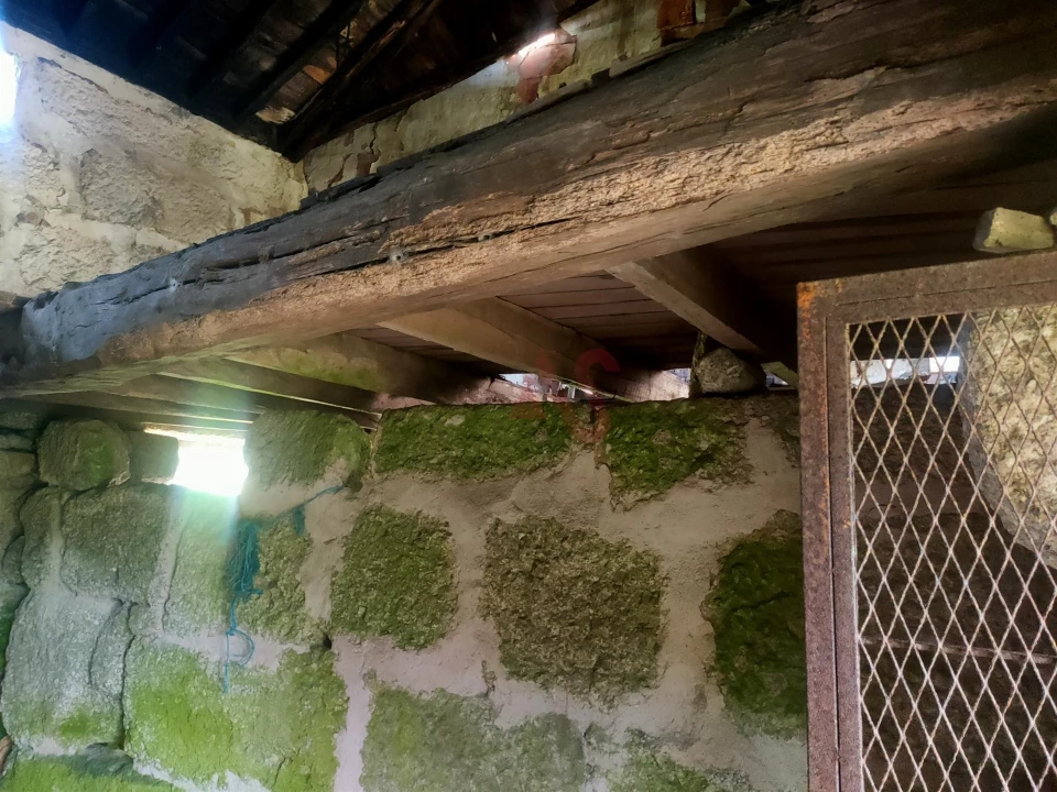 Quinta T4 para Venda em Ardegão, Arnozela e Seidões Foto 13