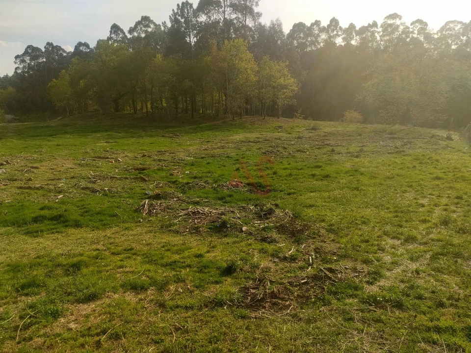 Quinta T4 para Venda em Ardegão, Arnozela e Seidões Foto 12