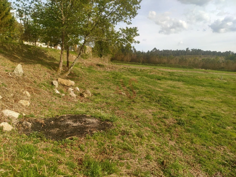 Quinta T4 para Venda em Ardegão, Arnozela e Seidões Foto 19