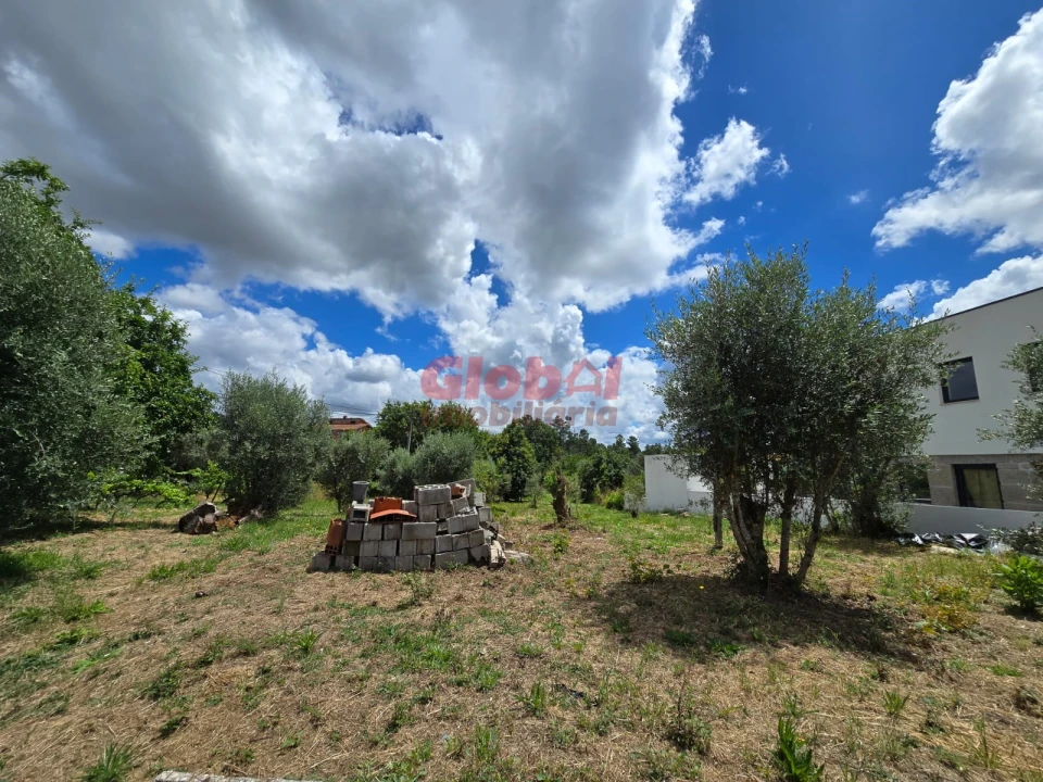 Terreno para Venda em Repeses e São Salvador Foto 2