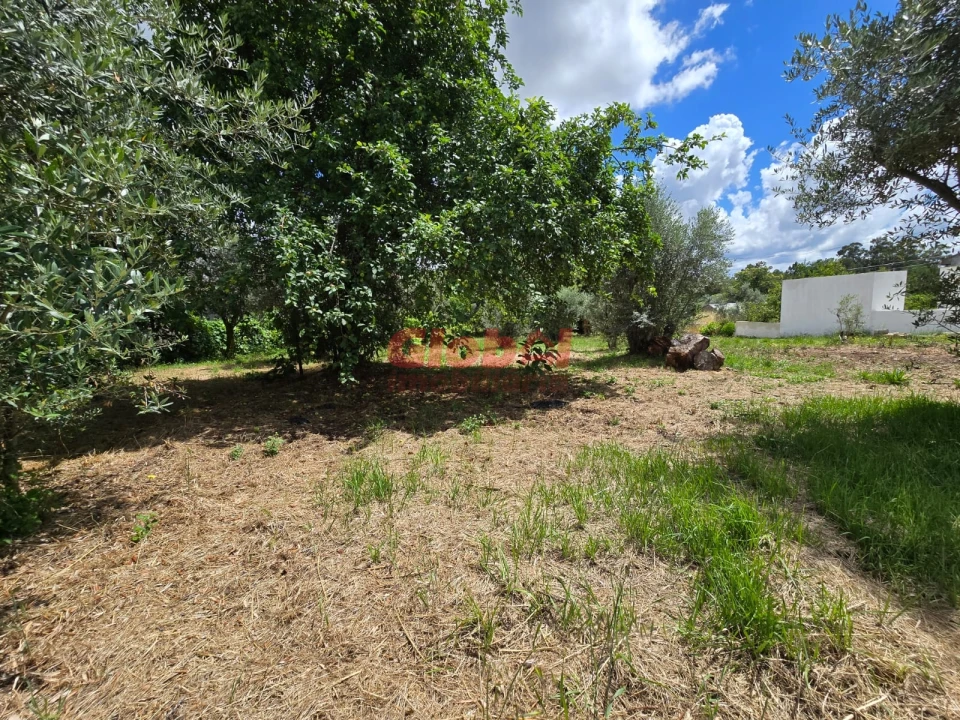 Terreno para Venda em Repeses e São Salvador Foto 1
