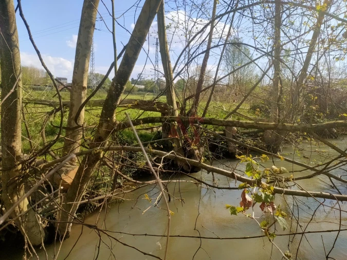 Terreno Agricola ou Rústico para Venda em Nevogilde Foto 2