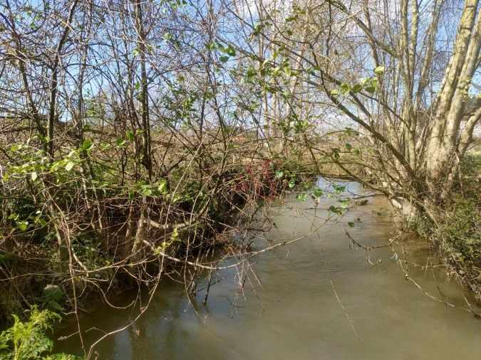 Terreno Agricola ou Rústico para Venda em Nevogilde Foto 6