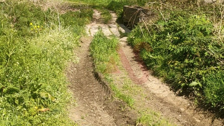 Terreno Agricola ou Rústico para Venda em Nevogilde