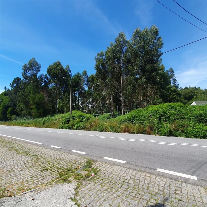 Terreno Agricola ou Rústico para Venda em Santa Maria da Feira, Travanca, Sanfins e Espargo Foto 3