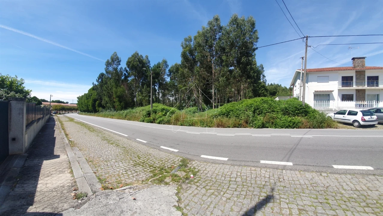 Terreno Agricola ou Rústico para Venda em Santa Maria da Feira, Travanca, Sanfins e Espargo Foto 2