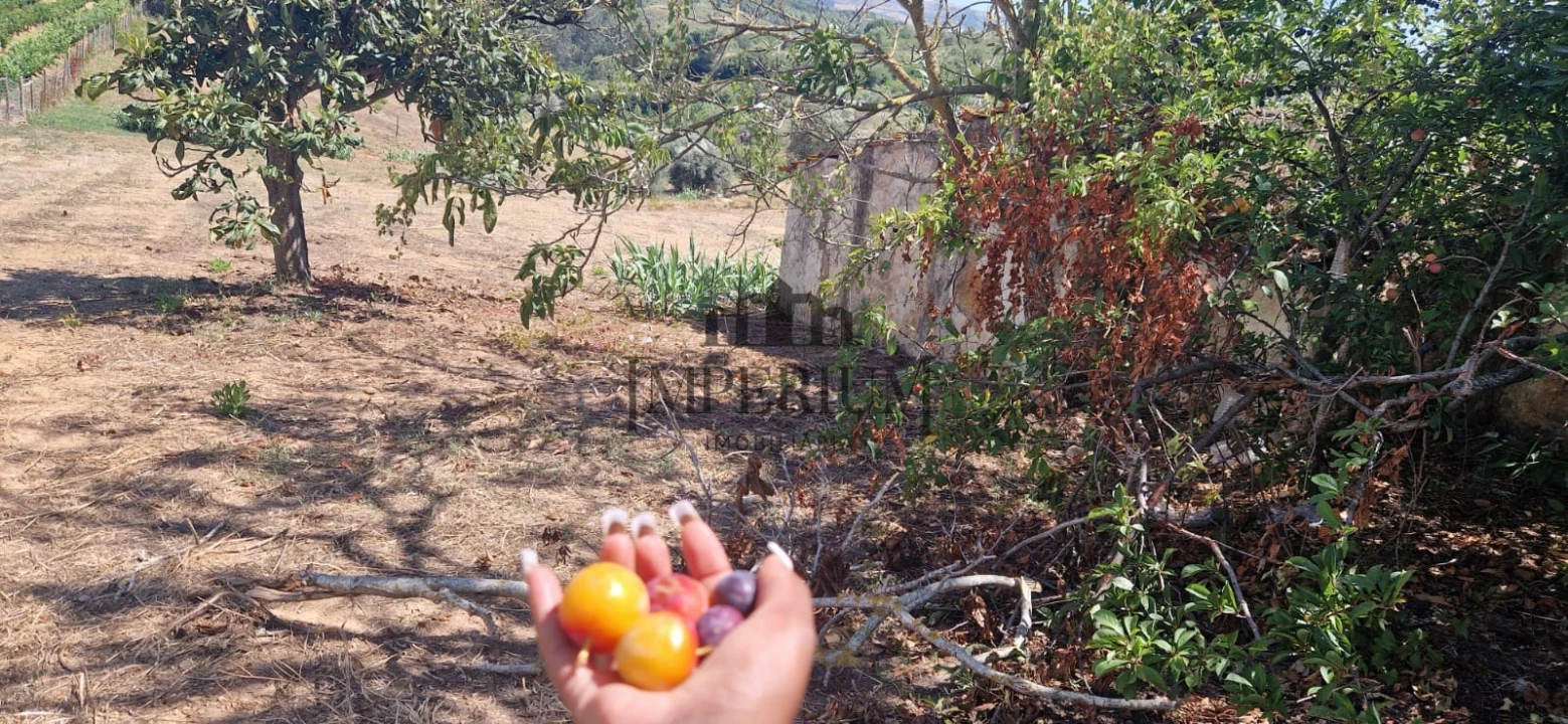 Quinta T0 para Venda em Meca Foto 8