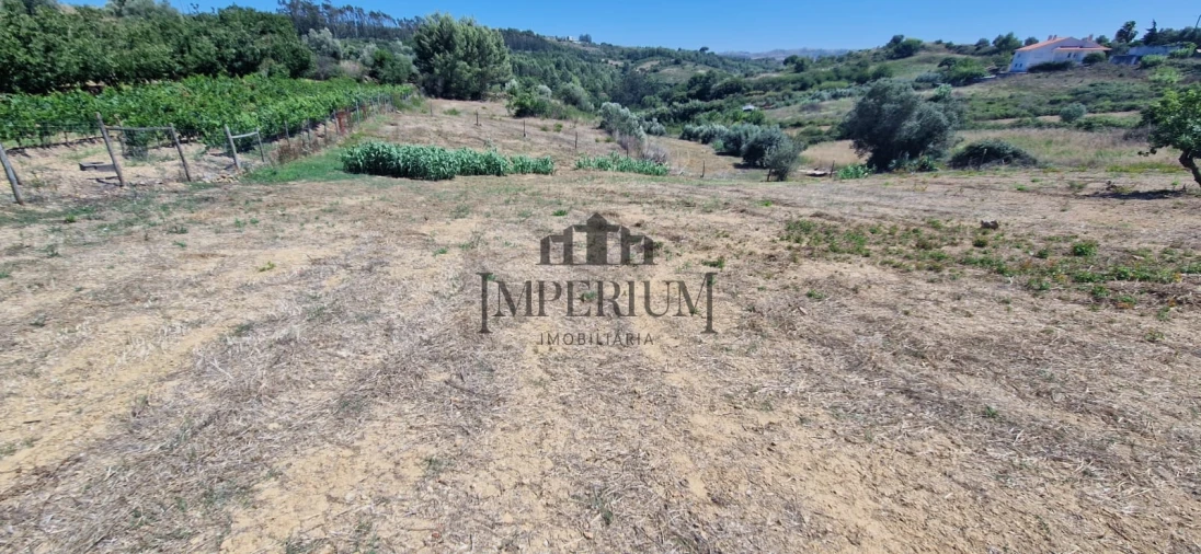 Quinta T0 para Venda em Meca Foto 13