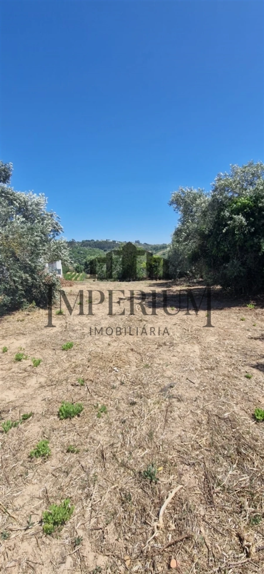 Quinta T0 para Venda em Meca Foto 5