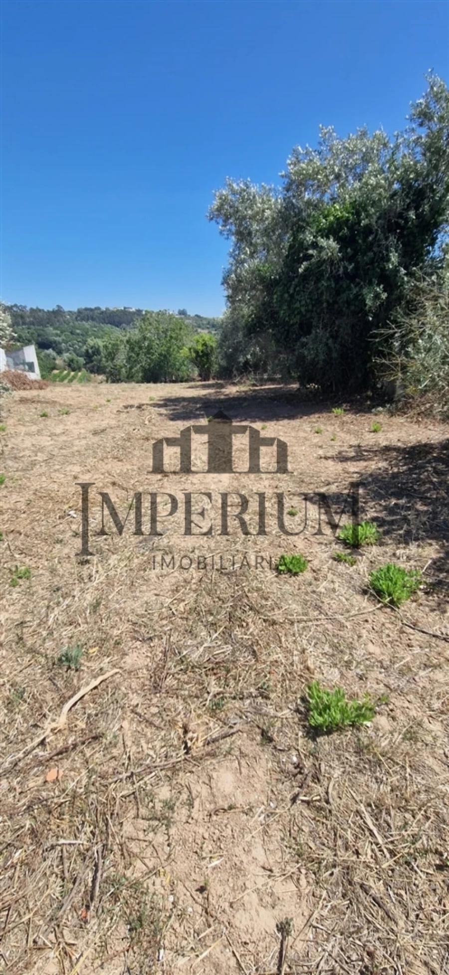 Quinta T0 para Venda em Meca Foto 8