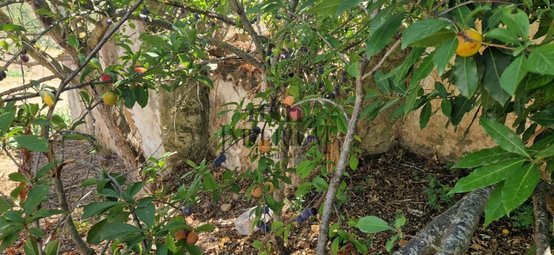 Quinta T0 para Venda em Meca Foto 11