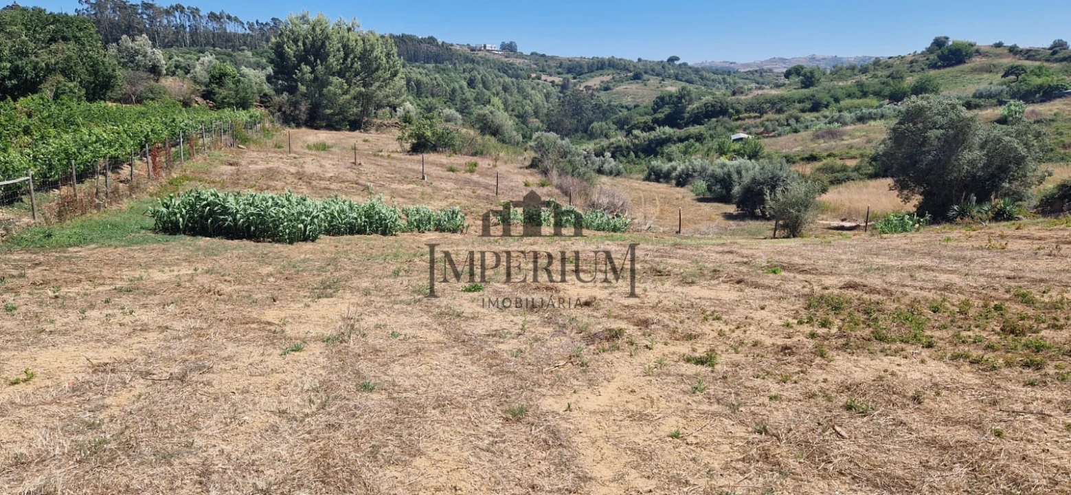 Quinta T0 para Venda em Meca Foto 12