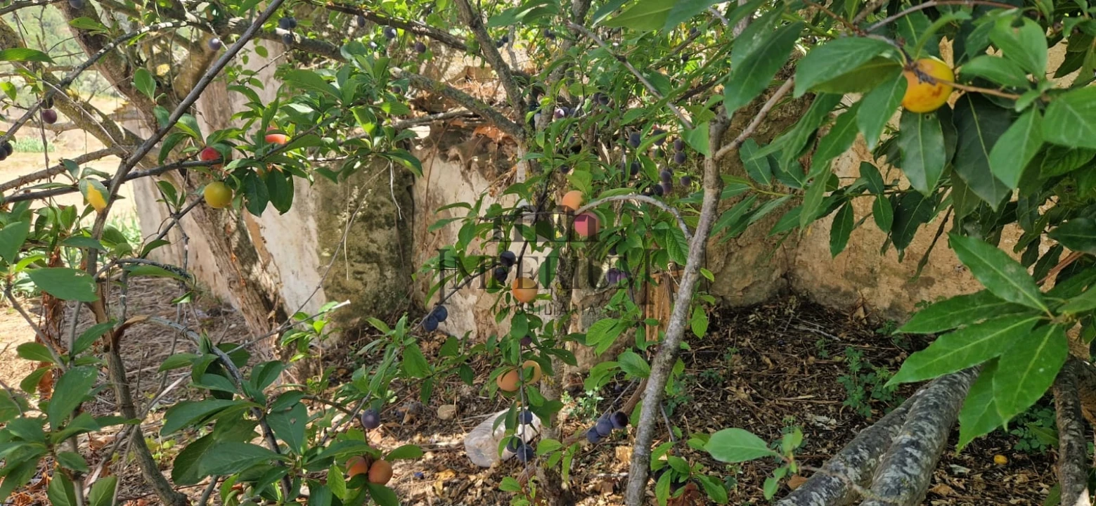 Quinta T0 para Venda em Meca Foto 11