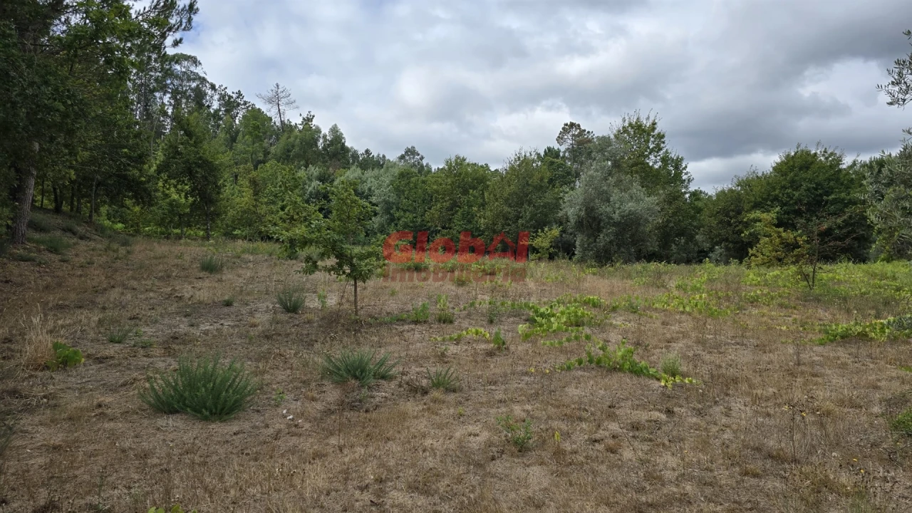 Terreno para Venda em Couto de Baixo e Couto de Cima Foto 6