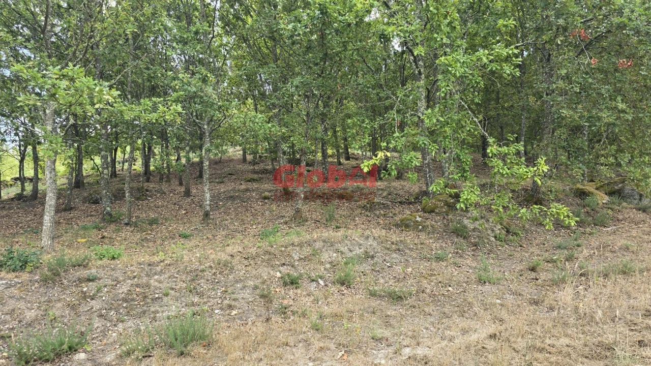 Terreno para Venda em Couto de Baixo e Couto de Cima Foto 3