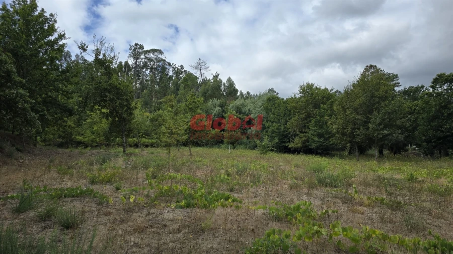 Terreno para Venda em Couto de Baixo e Couto de Cima Foto 5