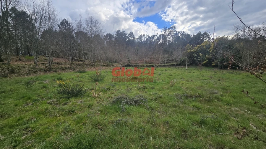 Terreno para Venda em Couto de Baixo e Couto de Cima Foto 5
