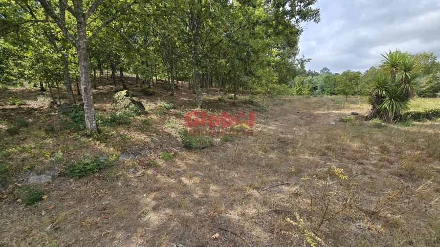Terreno para Venda em Couto de Baixo e Couto de Cima