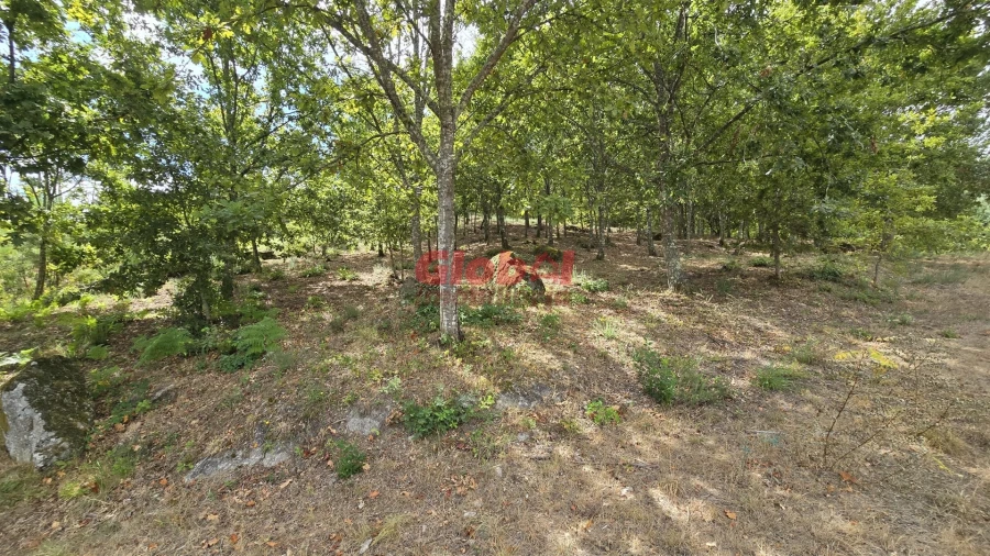 Terreno para Venda em Couto de Baixo e Couto de Cima Foto 4