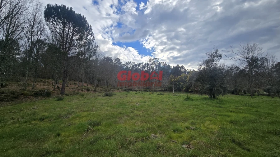 Terreno para Venda em Couto de Baixo e Couto de Cima