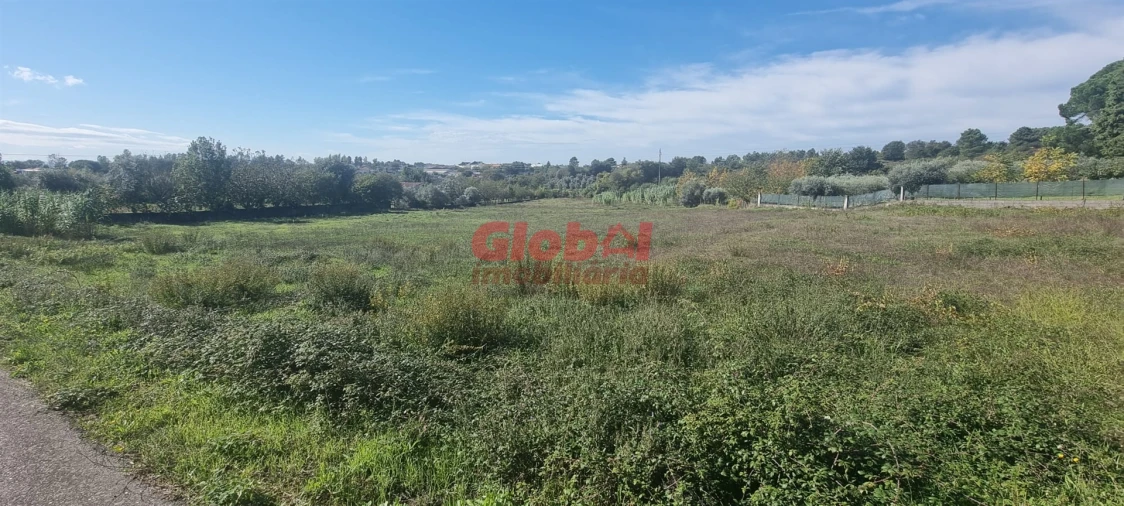 Terreno Agricola ou Rústico para Venda em Rio de Loba Foto 1