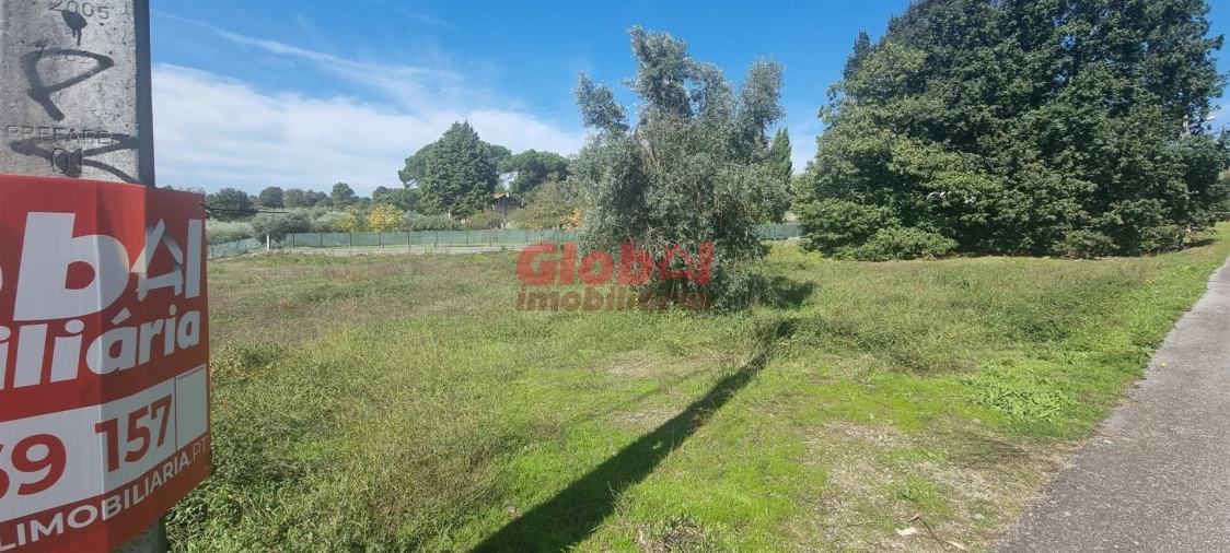 Terreno Agricola ou Rústico para Venda em Rio de Loba Foto 3