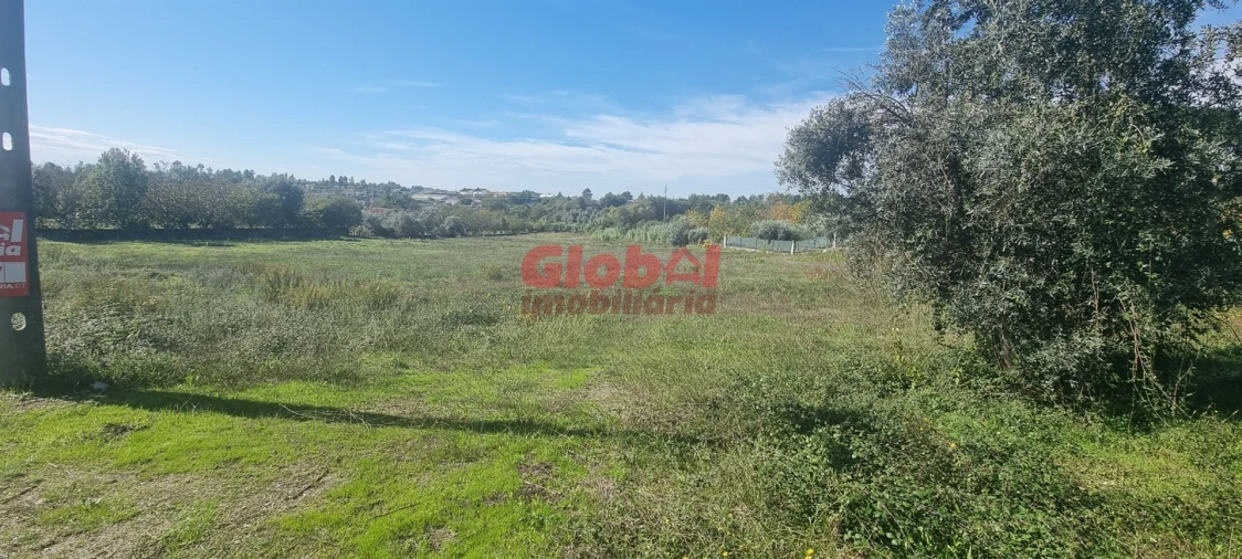 Terreno Agricola ou Rústico para Venda em Rio de Loba Foto 2