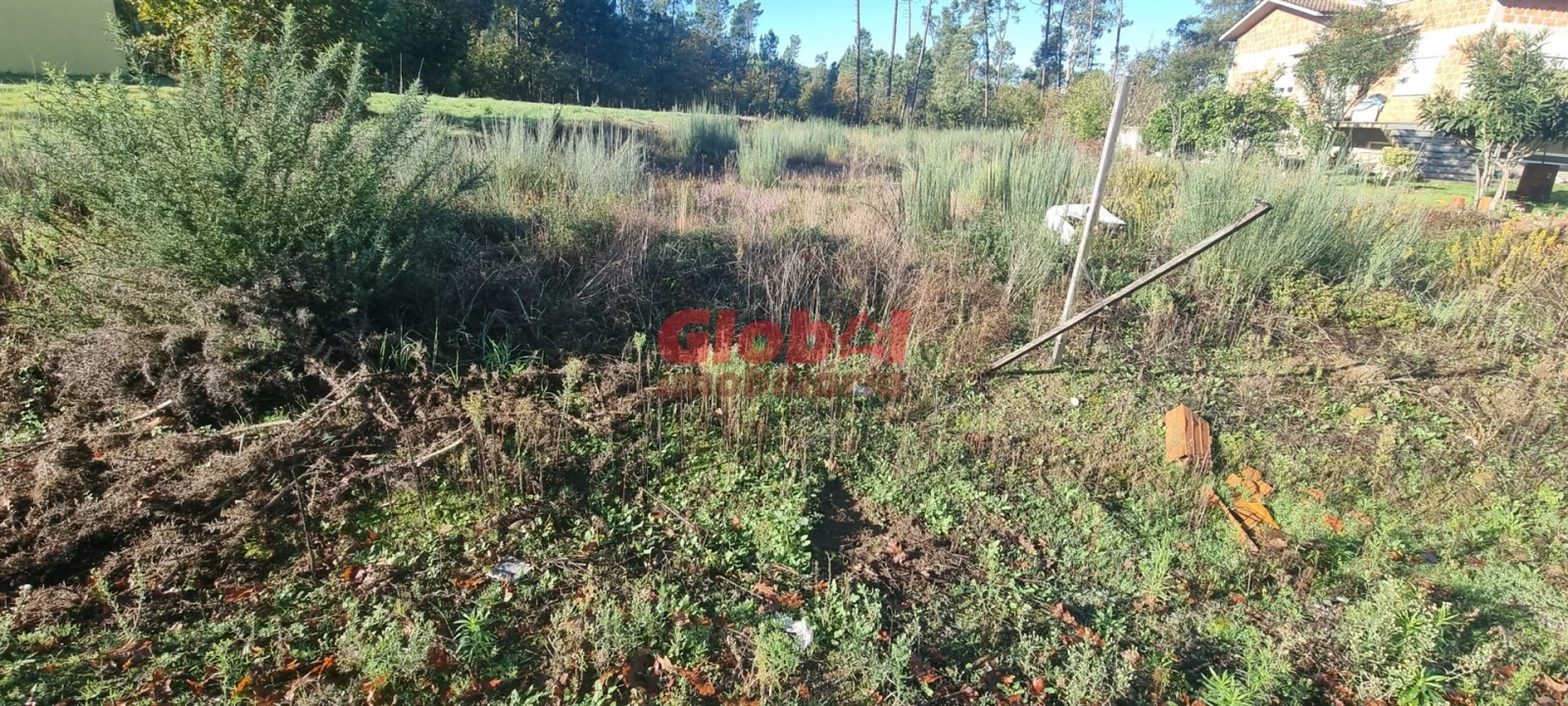 Terreno para Venda em Lordosa Foto 3
