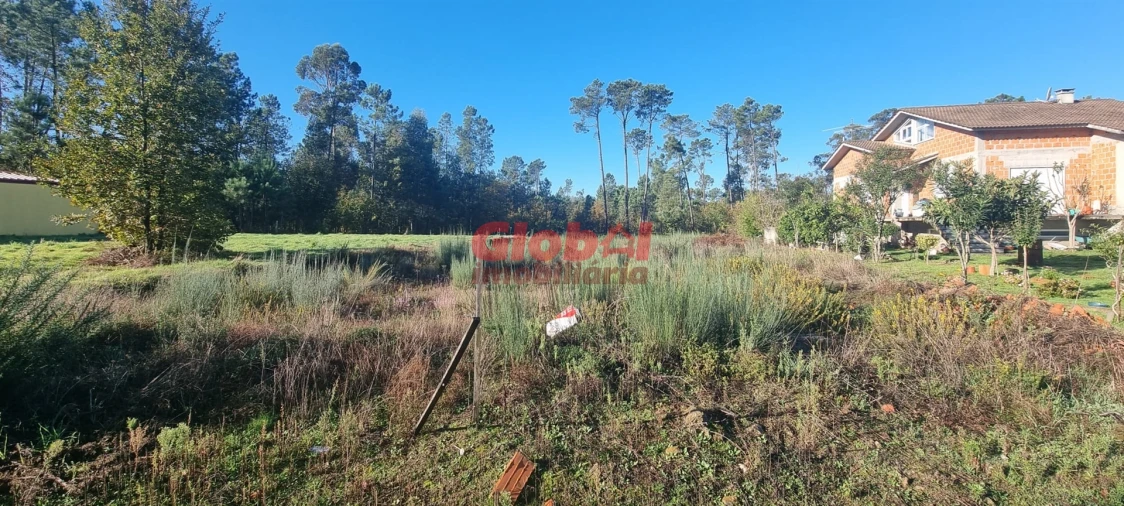 Terreno para Venda em Lordosa Foto 2