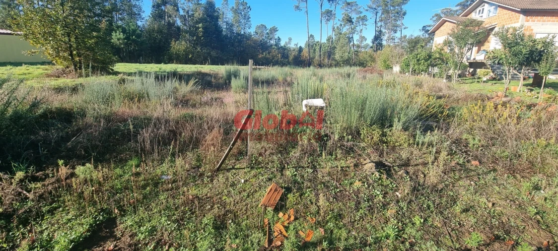 Terreno para Venda em Lordosa Foto 1