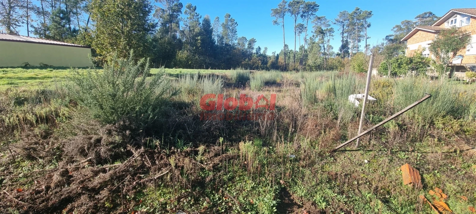 Terreno para Venda em Lordosa Foto 4