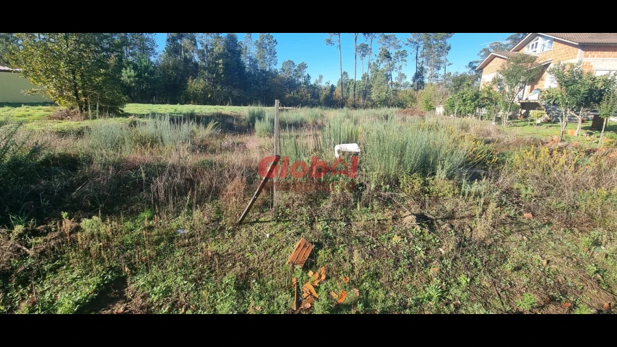 Terreno para Venda em Lordosa