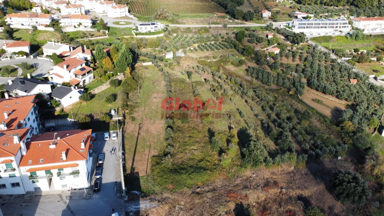 Terreno para Venda em Insua Foto 4