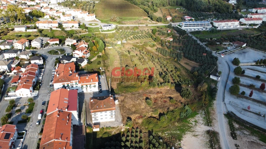Terreno para Venda em Insua Foto 2