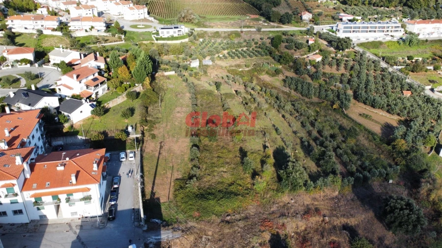 Terreno para Venda em Insua Foto 4