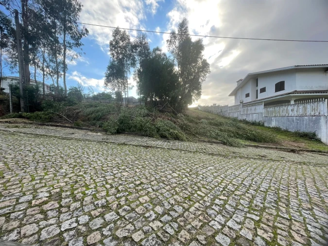 Terreno Agricola ou Rústico para Venda em Paços de Brandão Foto 1