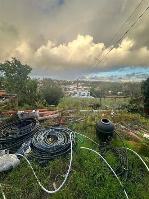 Terreno Agricola ou Rústico para Venda em Fornos