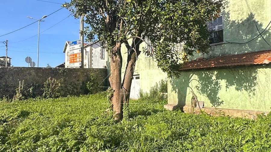 Moradia T5 para Venda em São João de Ver