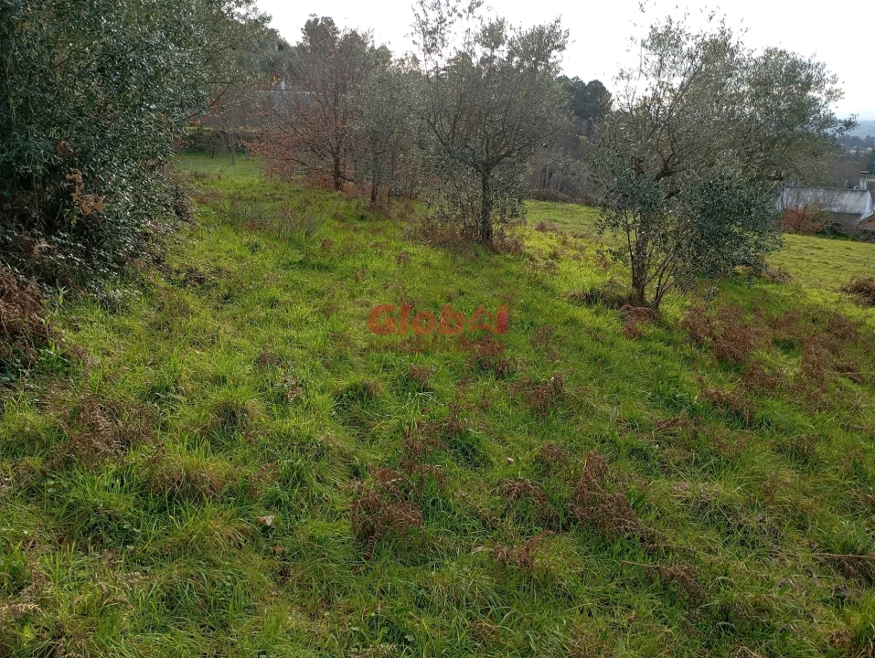 Terreno para Venda em Gouveia (São Pedro e São Julião) Foto 1