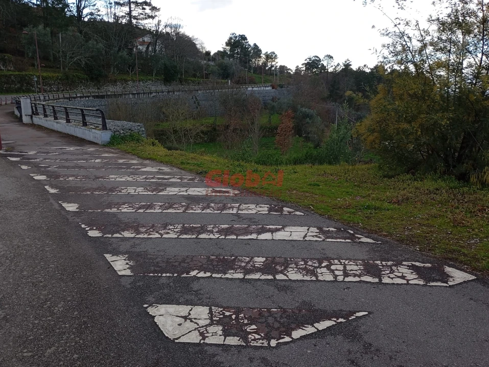 Terreno para Venda em Gouveia (São Pedro e São Julião) Foto 3